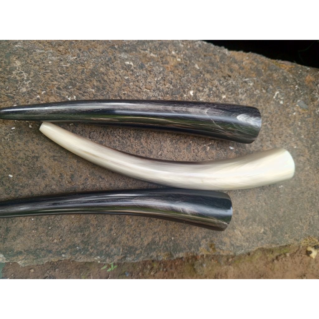 tanduk sapi super