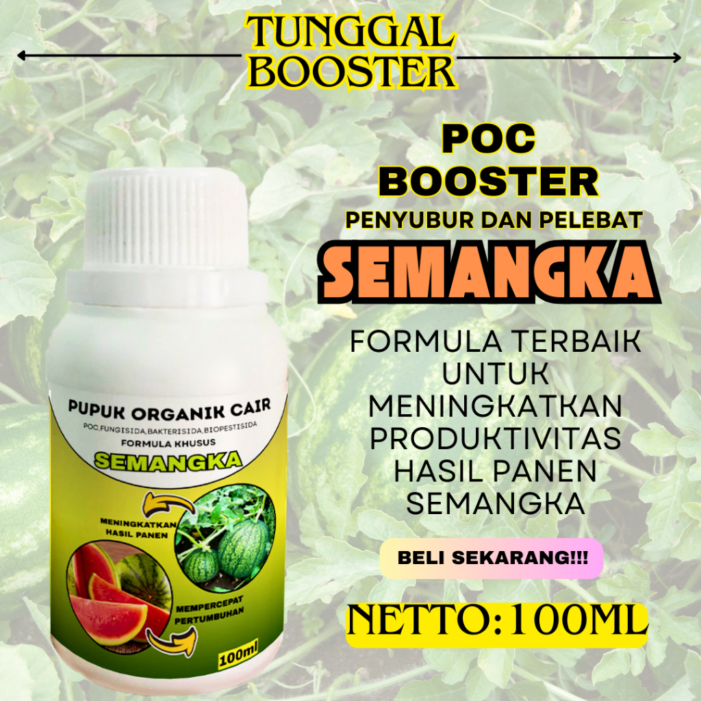 POC Pupuk Organik Cair Tanaman Semangka/pupuk semangka/pupuk pelebat dan penyubur buah semangka/pupu