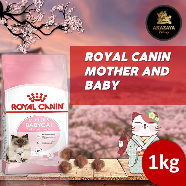 ROYAL CANIN MOTHER AND BABY KEMASAN 1 KG REPACK | MAKANAN KUCING ROYAL CANIN REPACK