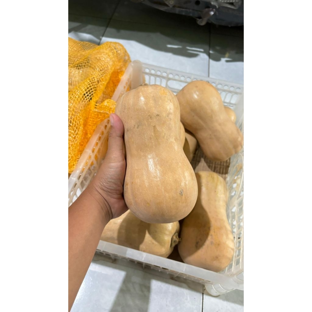 [ si_bumbu ] labu madu | waluh madu | butternut | camilan sehat | dikukus