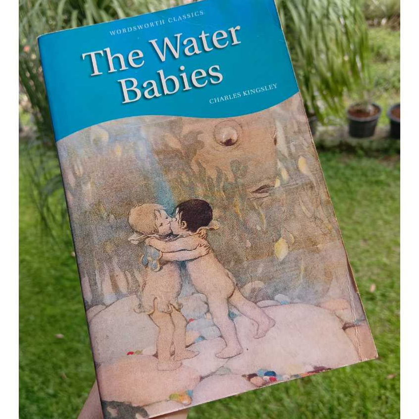 Charles Kingsley The Water Babies Novel Sastra Bahasa Inggris Preloved