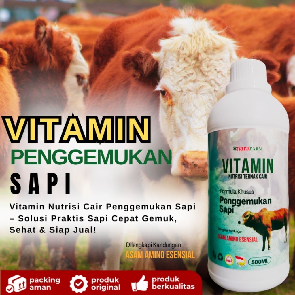 Vitamin penggemukan Sapi/nutrisi penggemuk sapi