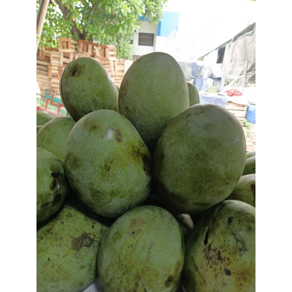 mangga manalagi 1kg