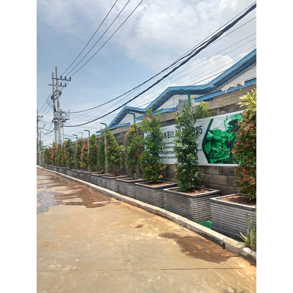 GARANSI 100% Pot Beton Kotak Jumbo 100×100×50 | Pot Semen Kotak Outdoor