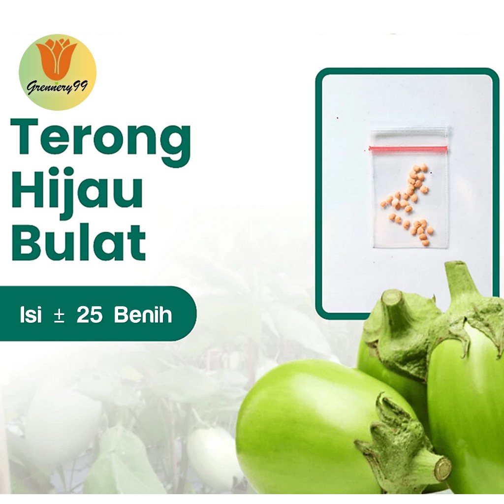 Benih Sayuran Terong Hijau Bulat Unggul
