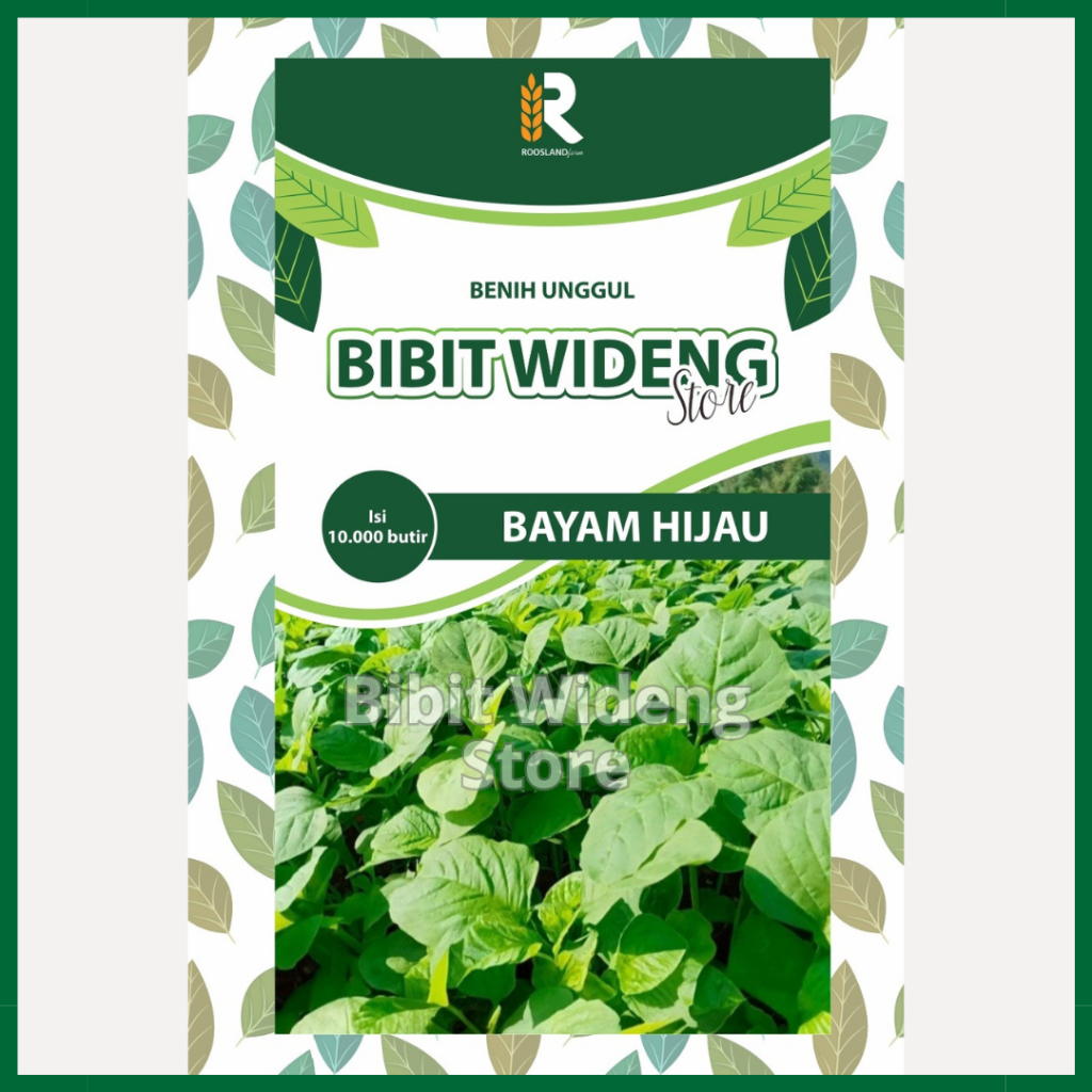( 10.000 BENIH ) BAYAM HIJAU | BAYAM CABUT | BAYAM HIJAU CABUT | SAYUR BAYAM