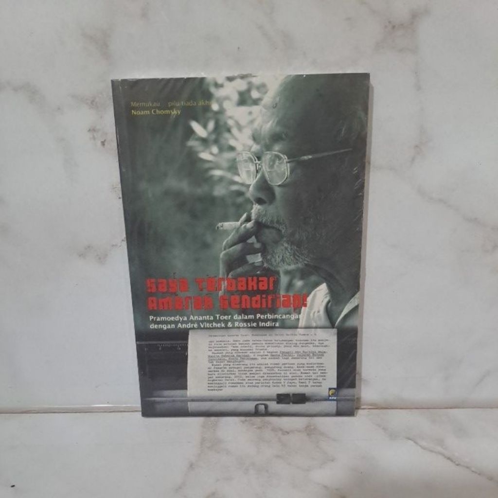 Saya Terbakar Amarah Sendirian - Noam Chomsky