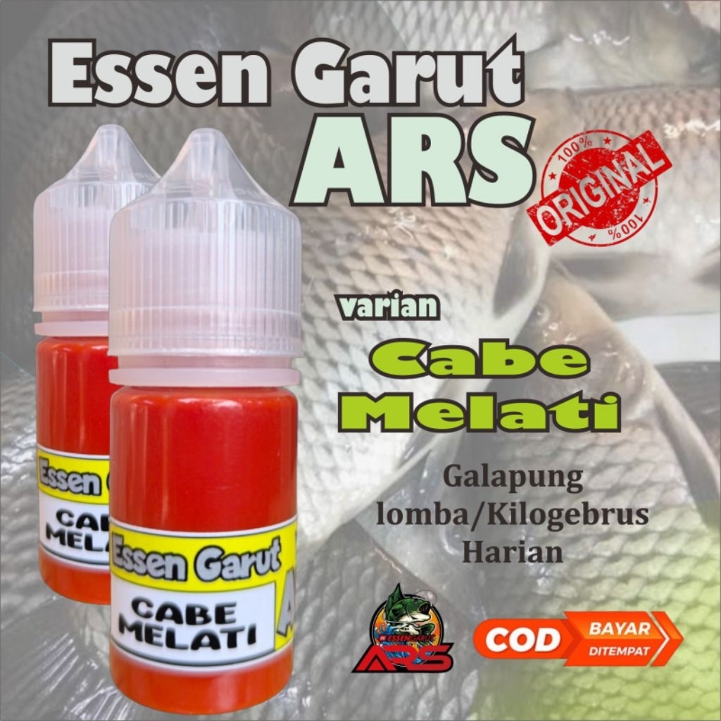 CABE MELATI Essen Garut ARS galapung harian lomba essen ikan mas