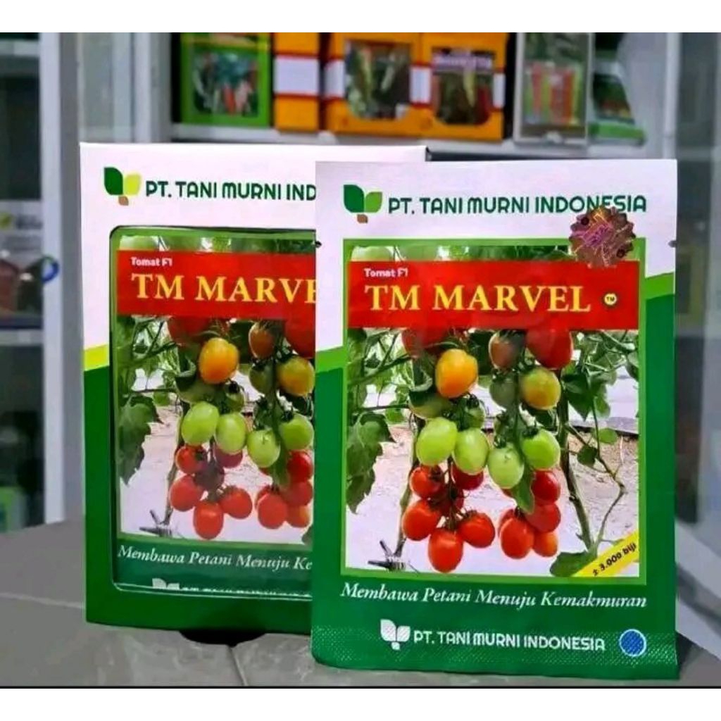 BENIH TOMAT TM MARVEL F1 10 GRAM