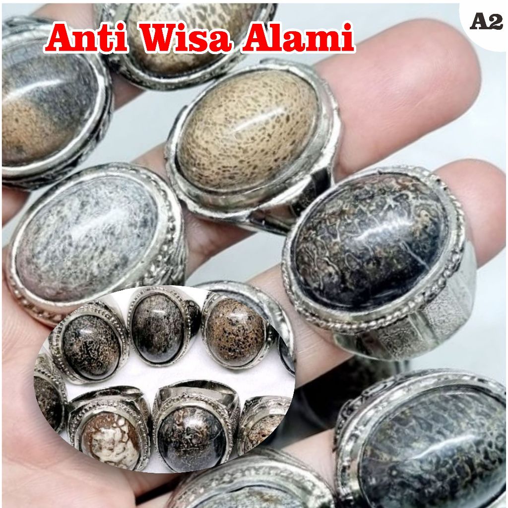 Cincin batu anti wisa asli alami nyedot racun Batu asli natural dari cirebon Dim 18-22 / A2