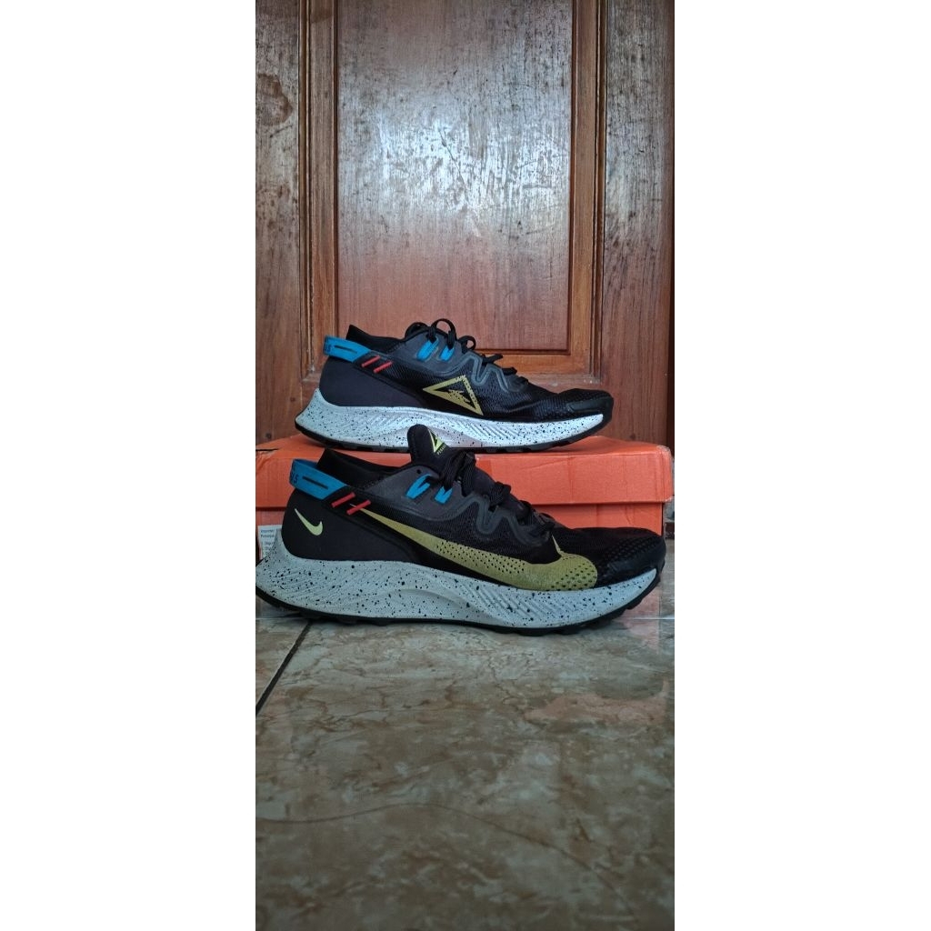 NIKE PEGASUS TRAIL 2