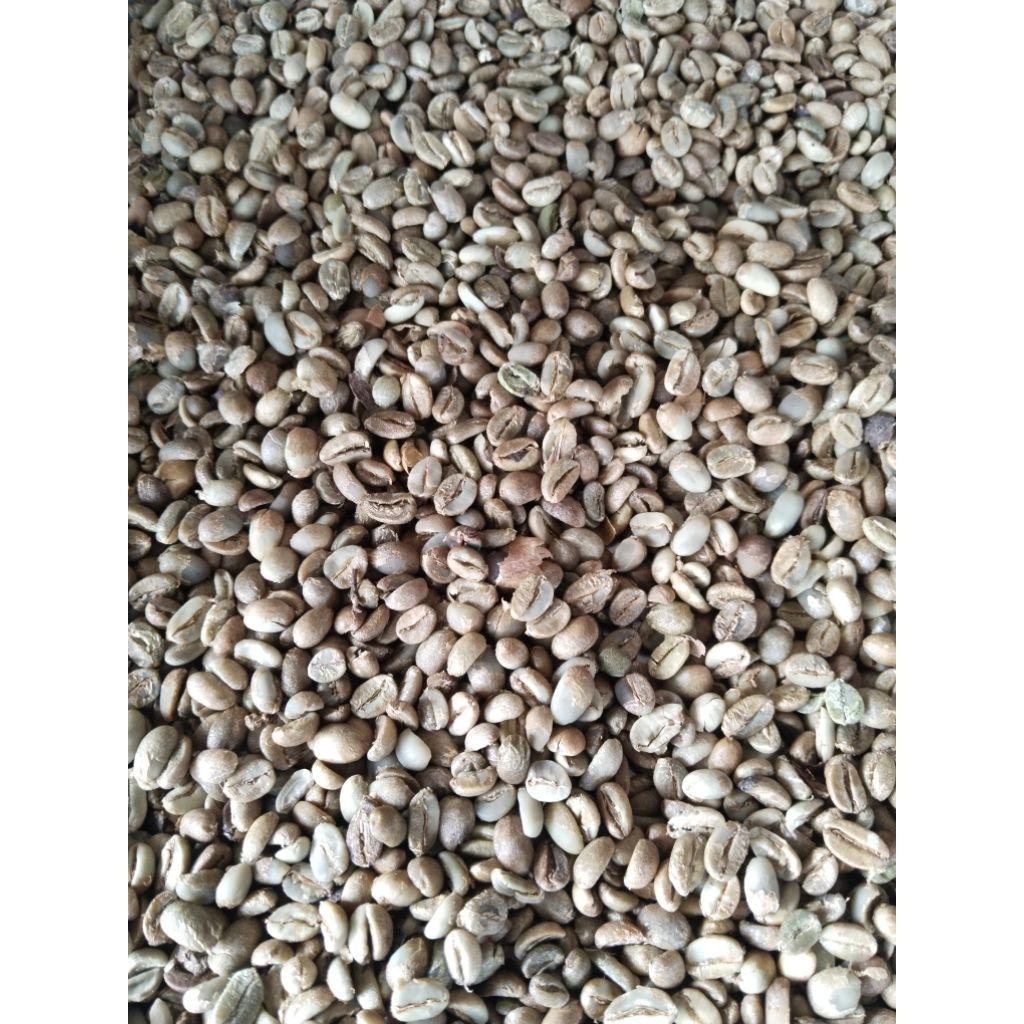 green bean arabica