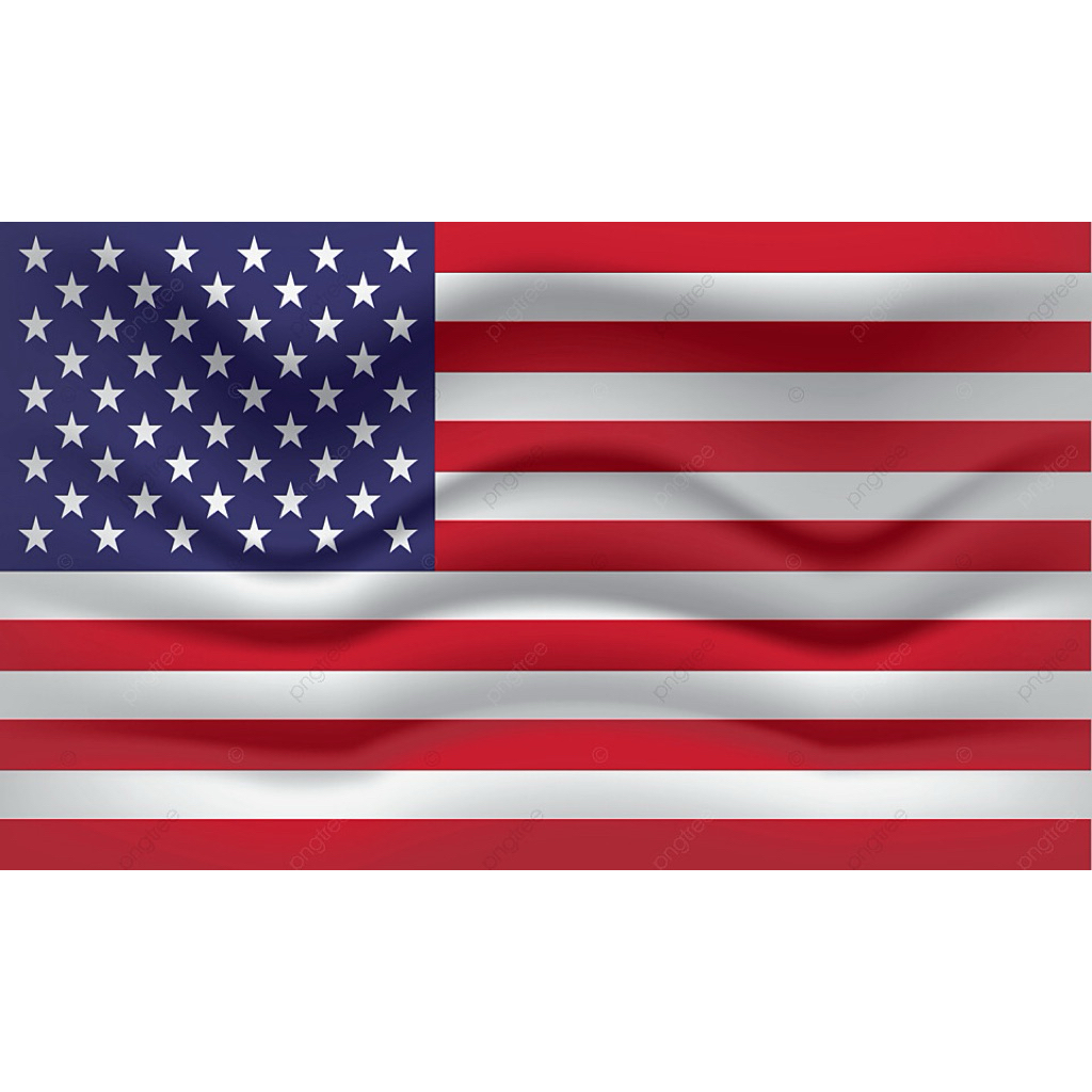 Nomor Virtual Luar Negeri USA +1 siap pakai untuk WA