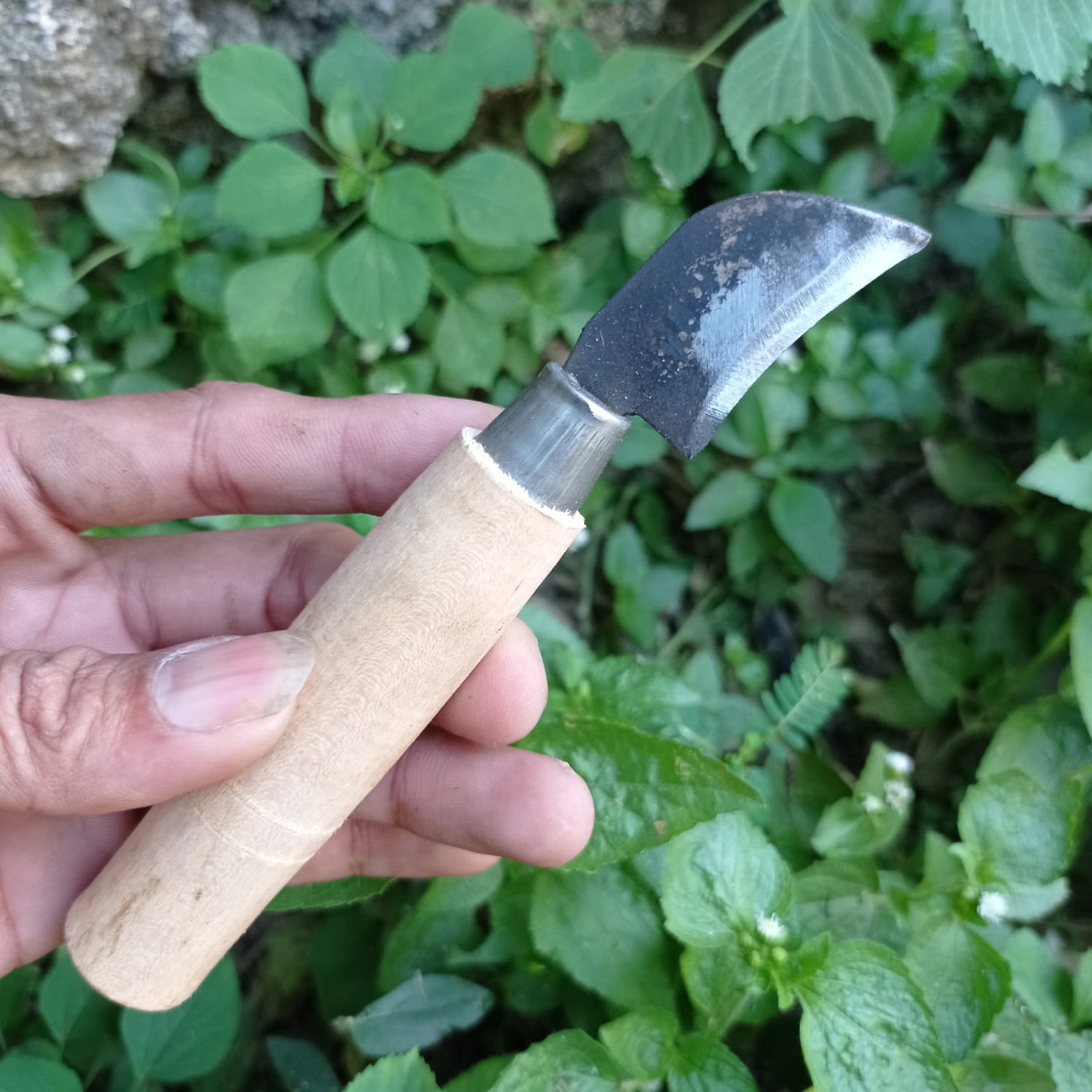 VERSI C Pisau Stek Okulasi Tanaman Bonsai Super Tajam - Pisau Sambung Tanaman - Pisau Baja Cangkok P