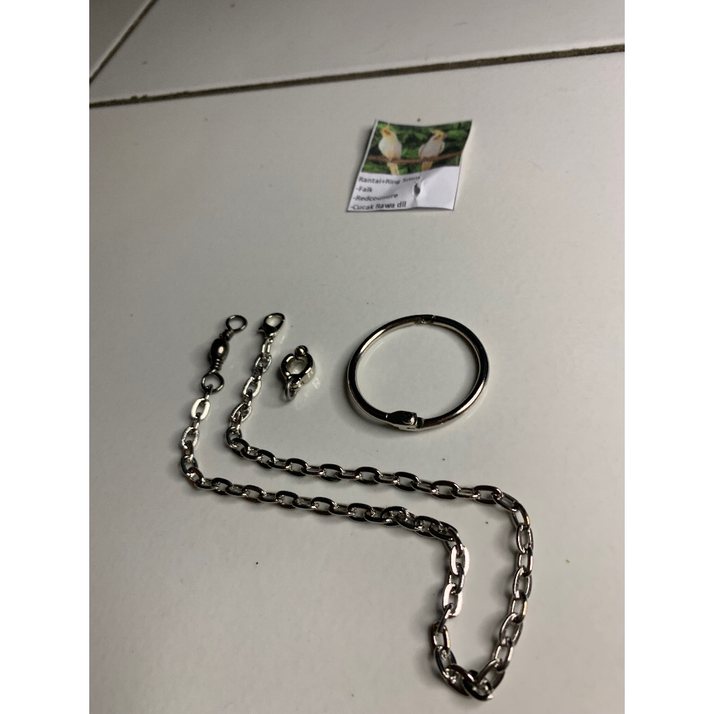 RANTAI FALK RANTAI PARKIT AUSTRALIA RANTAI BURUNG FALK RANTE PARKIT AUSTRALIA RANTE FALK RING BORGOL