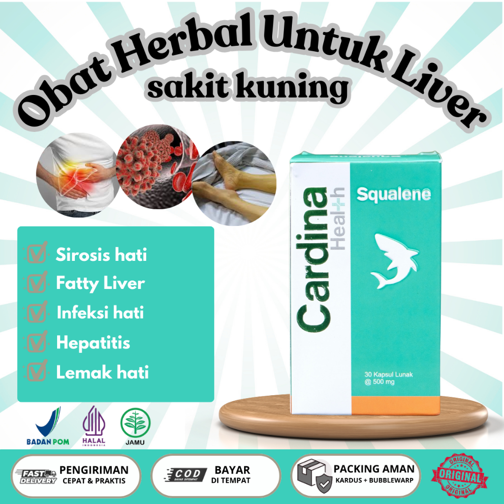 Obat Liver, Hepatitis Hati, Perut Bengkak-Obat Fatty Liver Hati Berlemak Penyakit Kuning
