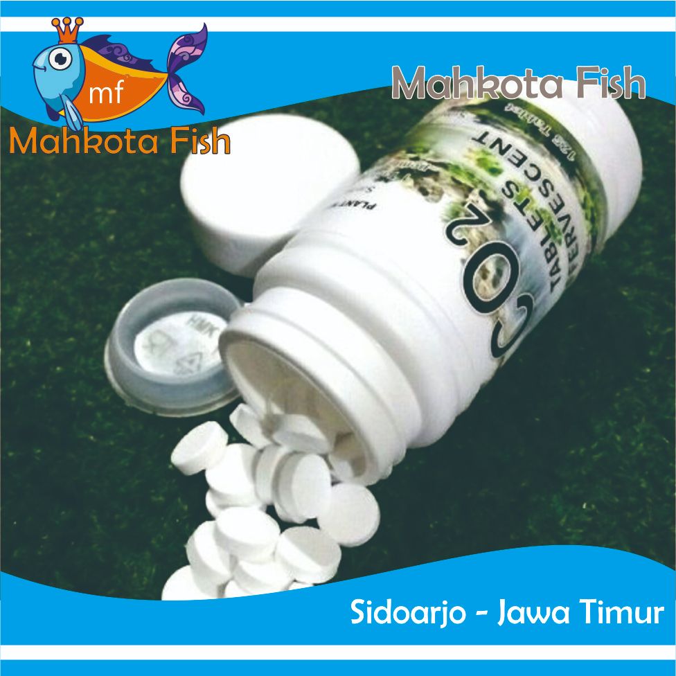 CO2 Tablet Per Pcs (Per Biji) | CO2 Tablet Aquascape | CO2 Tablet Tanaman Aquarium