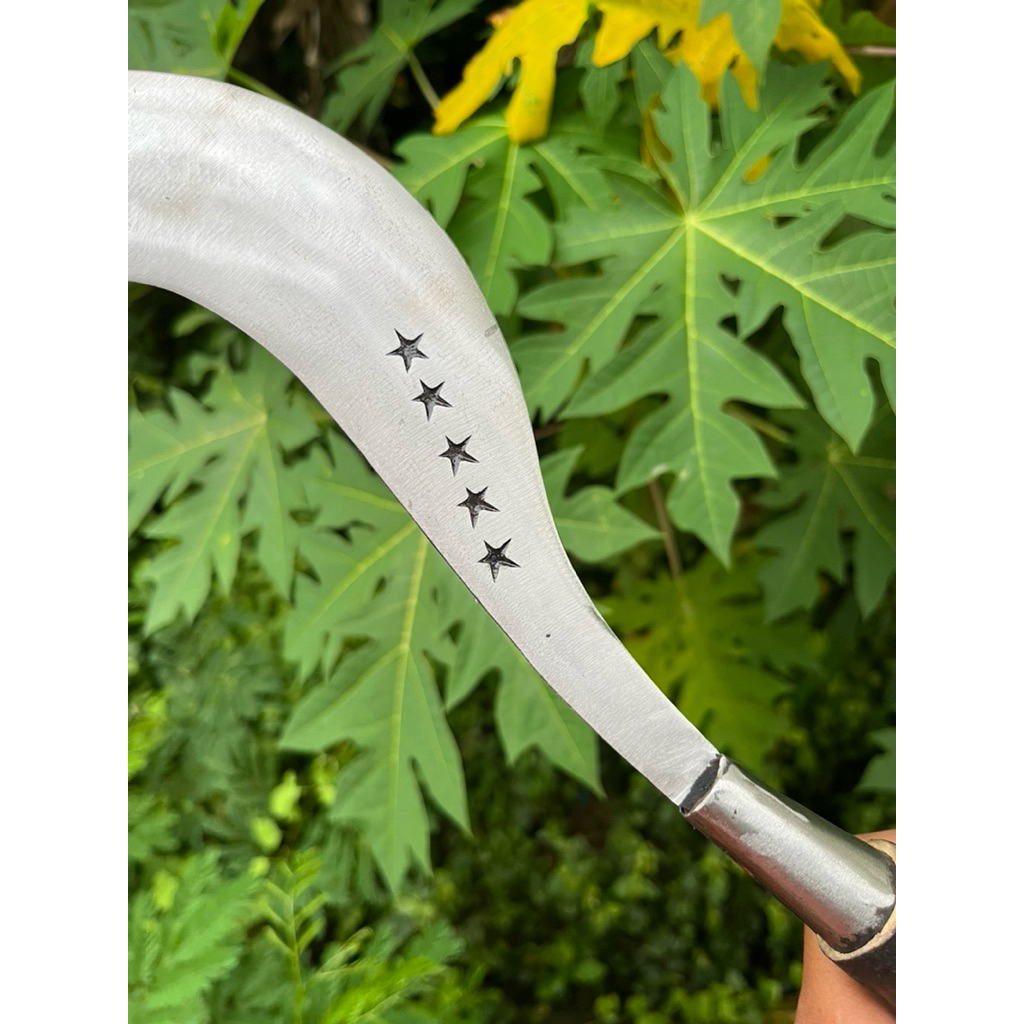 ARIT RUMPUT, PADI, TEBU, RAMBAN BAHAN ASLI BAJA PANDE BESI MADURA