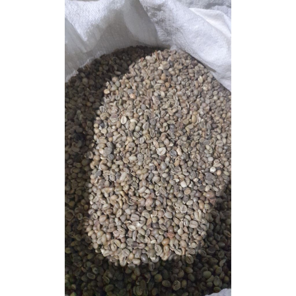 robusta asalan temanggung