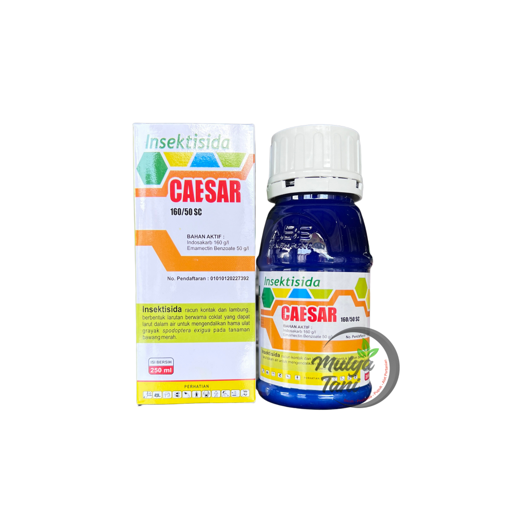 Insektisida Caesar 160/50OD 250ML Pembasmi Ulat Bawang Merah