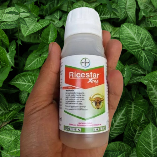 HERBISIDA BAYER RICESTAR 69 EC 100 ML/RACUN SISTEMATIK PURNA TUMBUH RERUMPUTAN PADI 100ML