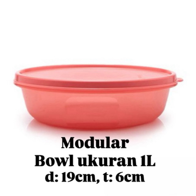 modular guava bowl 1L tupperware