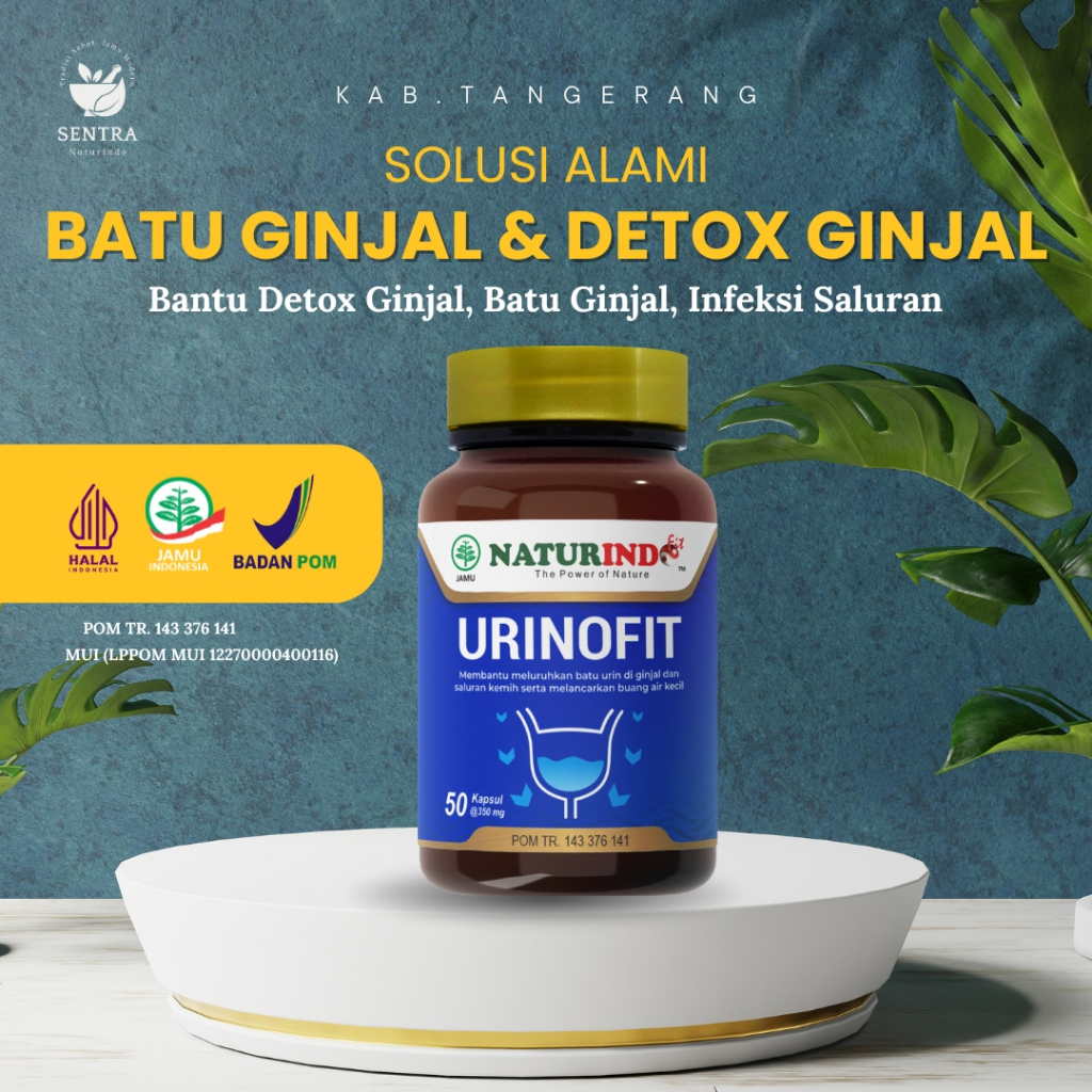 Prostat Herbal Tanpa Operasi Infeksi Saluran Kemih Kanker Prostat Paling Ampuh Pembengkakan Prostat 