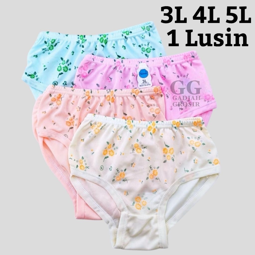 CD WANITA HYGET DEWASA grosir daleman wanita cd hyget 3L 4L 5L 6pcs 12pcs cd wanita grosir