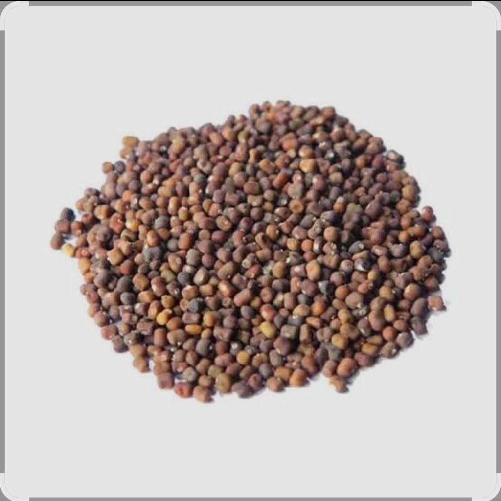 biji kacangan PJ super 1 kg