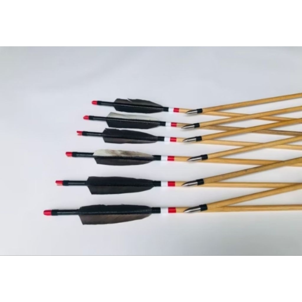 Arrow Ramin Cresting Vanes Bulu Ayam‎ - Arrow Tradisional Archery - Olahraga panahan