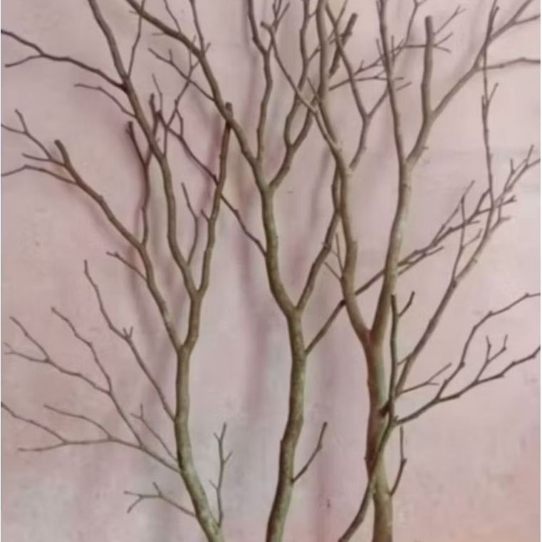 Ranting Kayu Kering asli Ranting Kayu Dekorasi 120cm