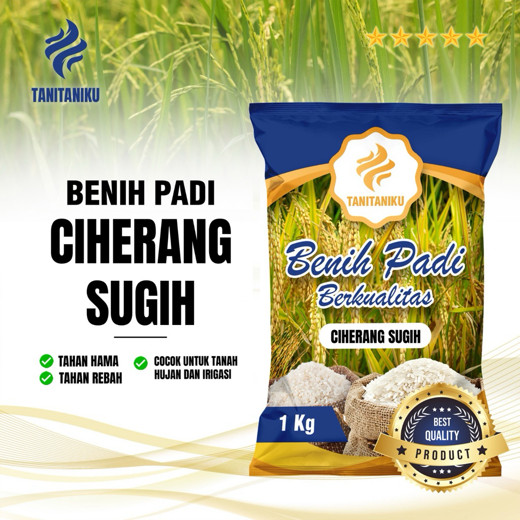 Benih padi bibit padi CIHERANG SUGIH kualitas original kemasan 1kg