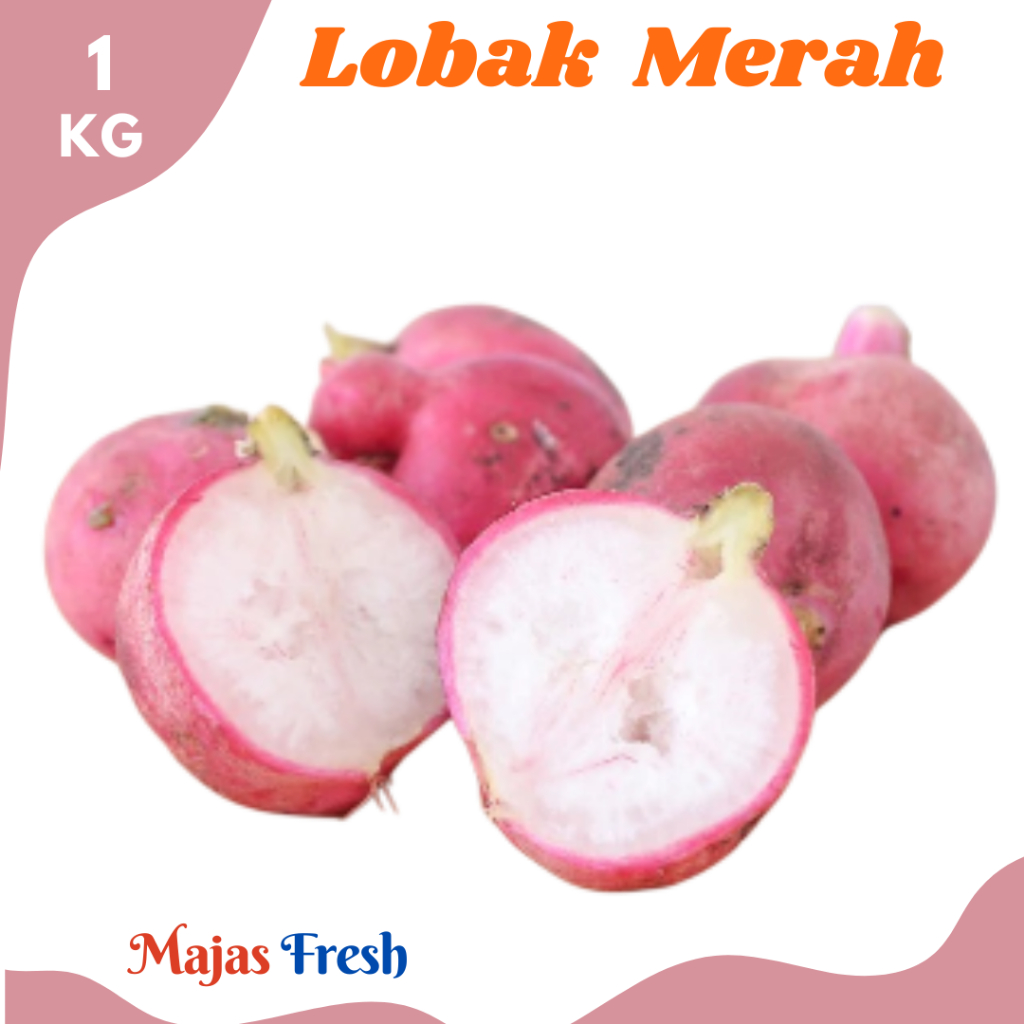 LOBAK MERAH Segar - Sayur Lobak Baby Red Radish Fresh | 1.000gr [ Harga Per KG ]