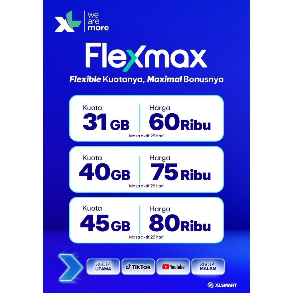 DATA XL FLEXMAX 31GB - 40GB - 45GB