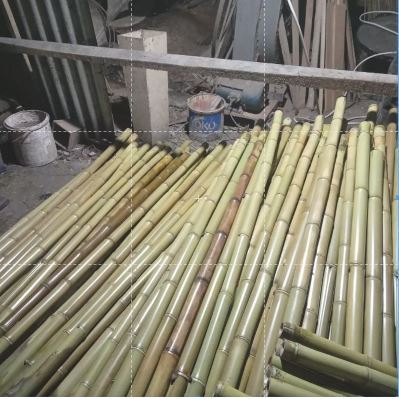 Tongkat Pramuka Bambu Cendani Untuk Kemah