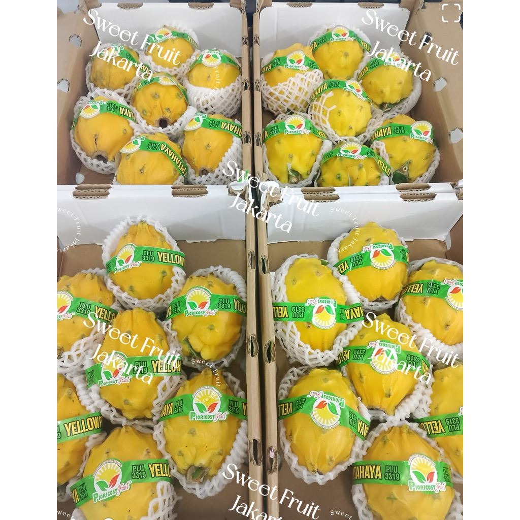 Buah Naga Kuning Ekuador Fresh / Buah Naga Kuning Import 1kg