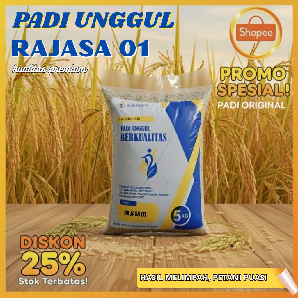 padi rajasa 01 kemasan 5kg bibit unggulan