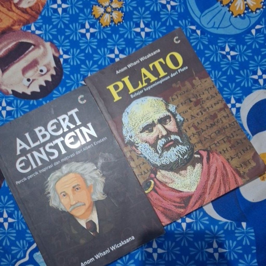 buku biografi albert einstein plato