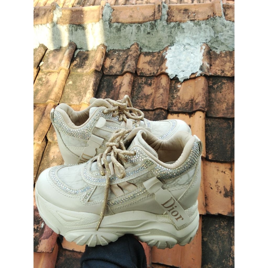Sepatu dior