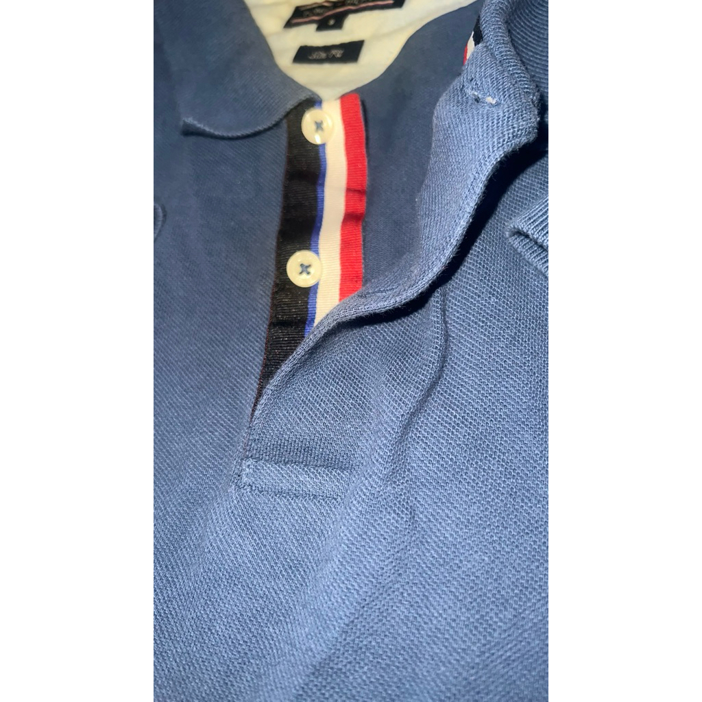 polo tommy
