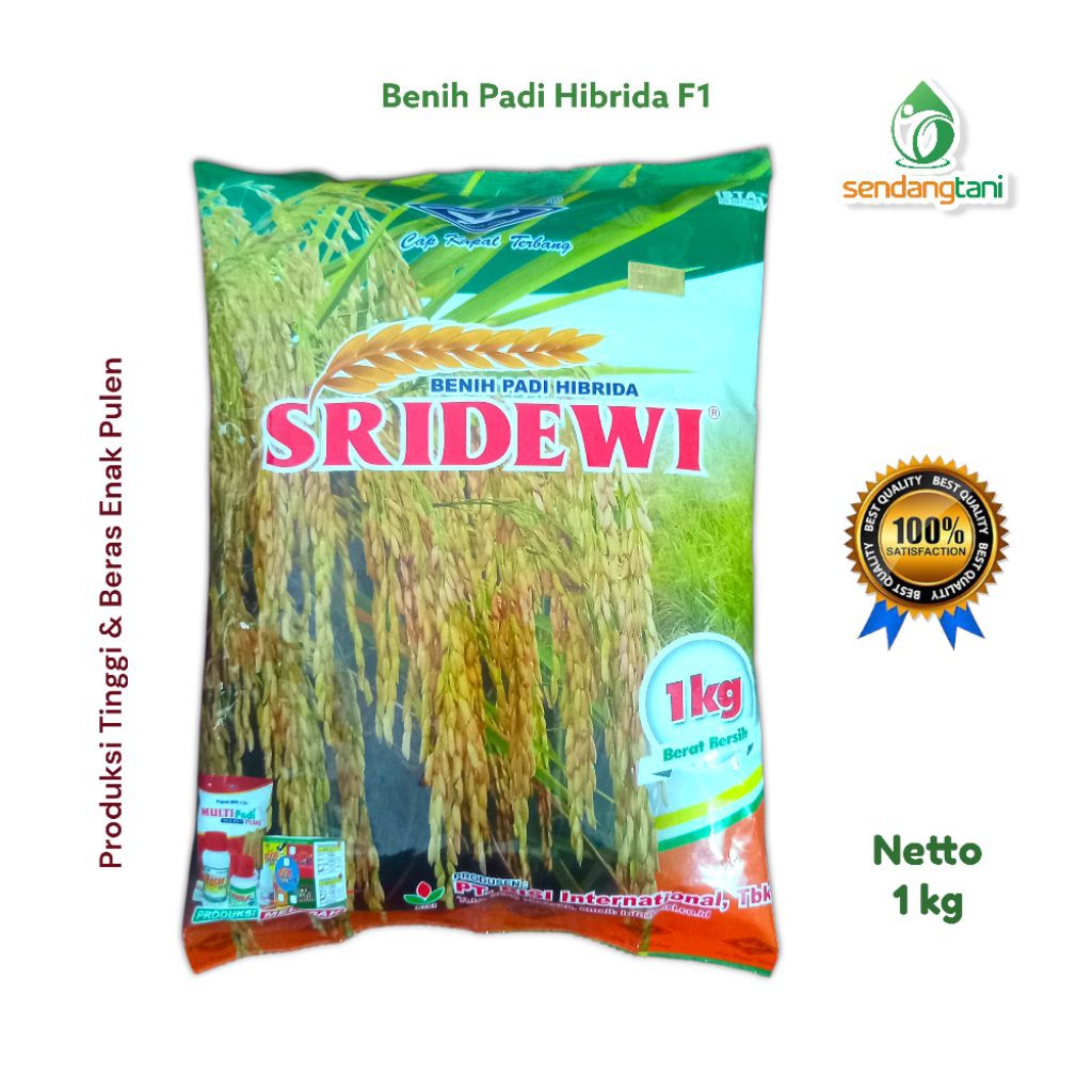 Benih Padi Hibrida F1 SRIDEWI 1 Kg Bibit PT Bisi Cap Kapal Terbang Kualitas Premium Mapan dan Supadi