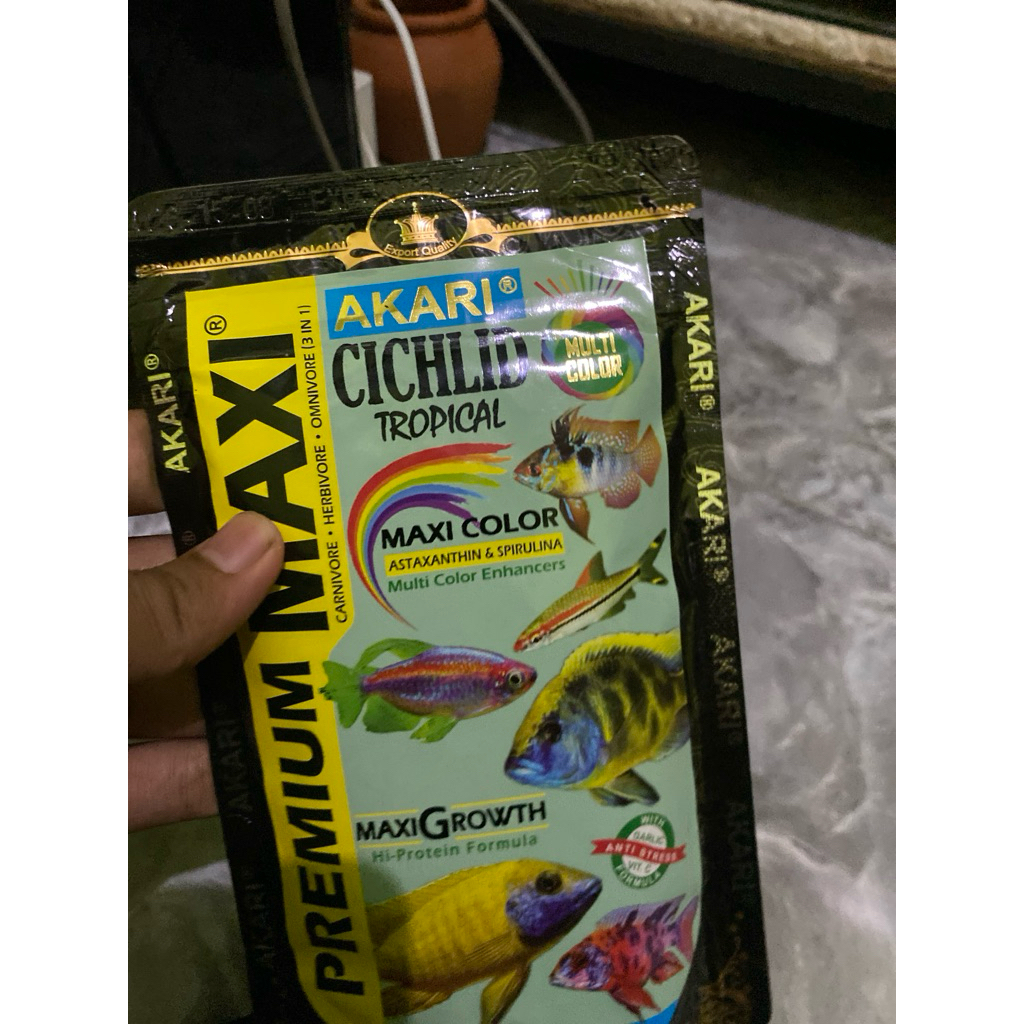 Channa Ikan Limbata