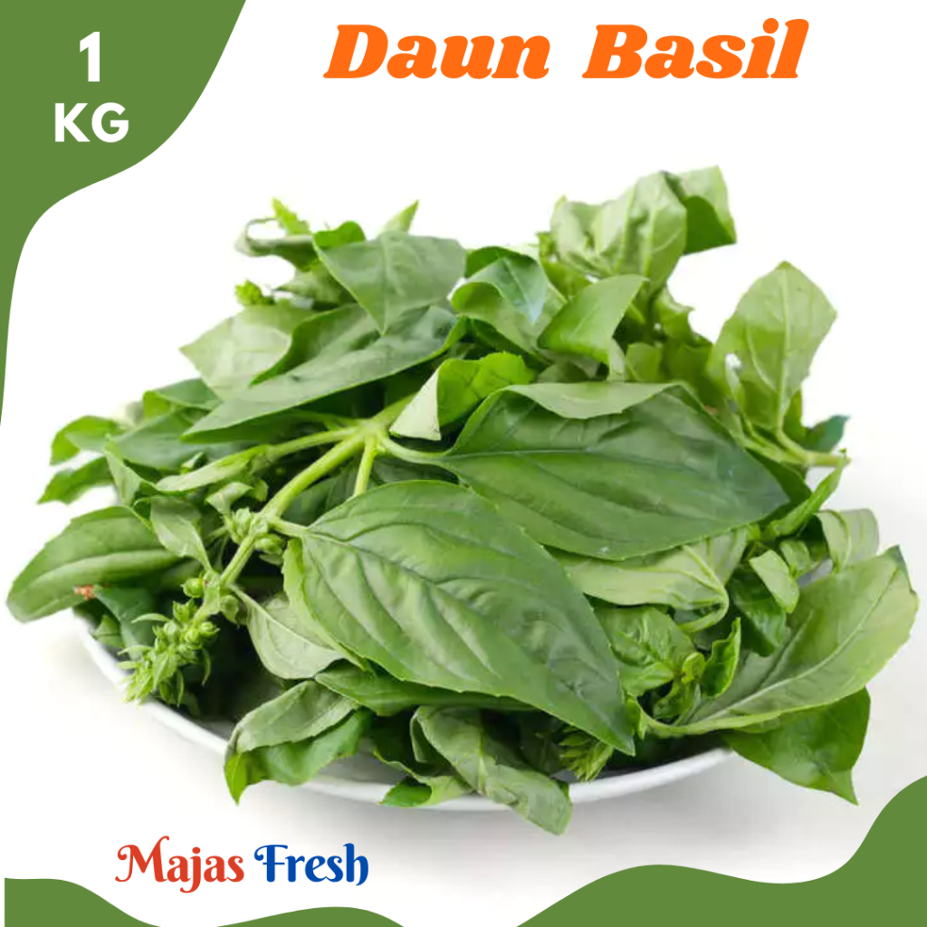 DAUN BASIL Asli Segar - Sayur Daun Basil Sweet Basil Original Fresh | 1.000gr [ Harga Per KG ]