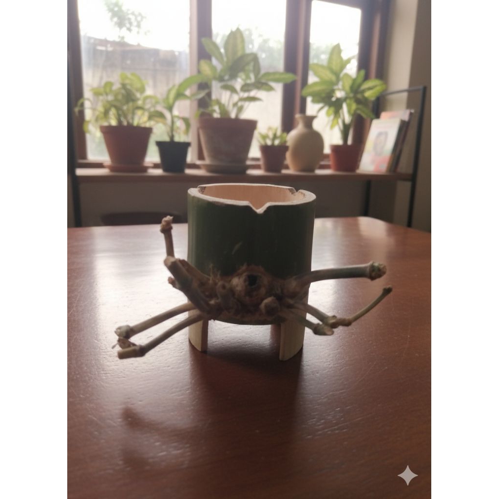 asbak unik dari bambu/asbak ramah lingkungan bambu ater