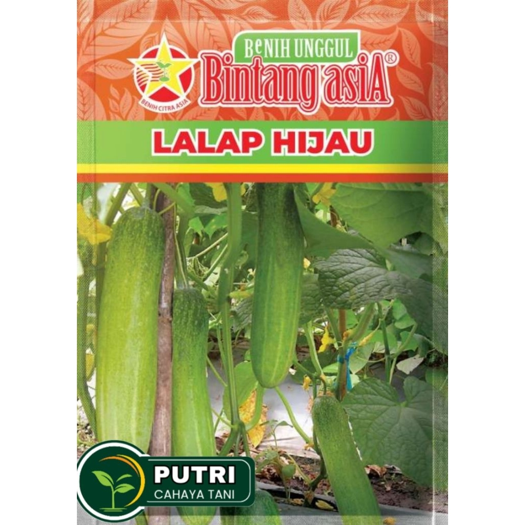 Benih Timun LALAP HIJAU 20Gram BINTANG ASIA