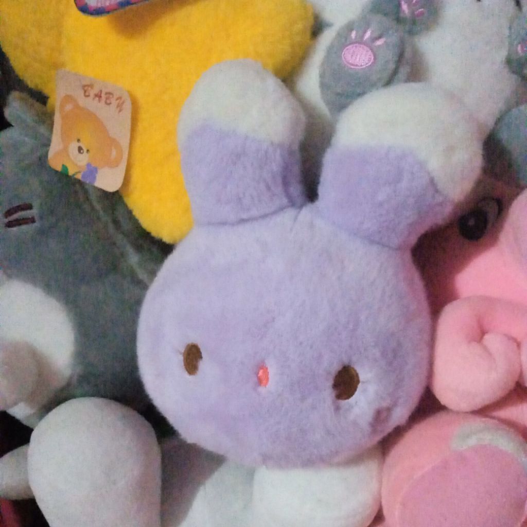 boneka kelinci fc pl bersih