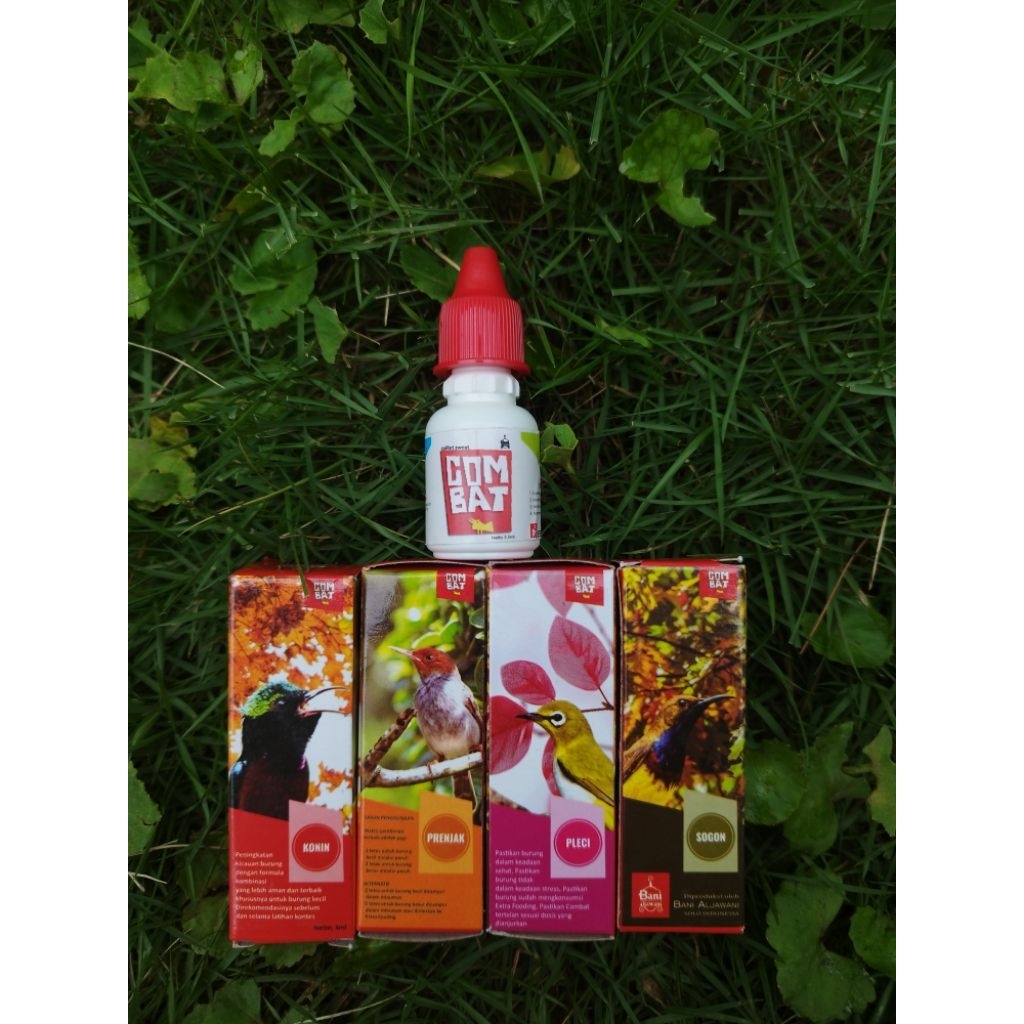 COMBAT VITAMIN BURUNG SOGON DAN PLECI (original)