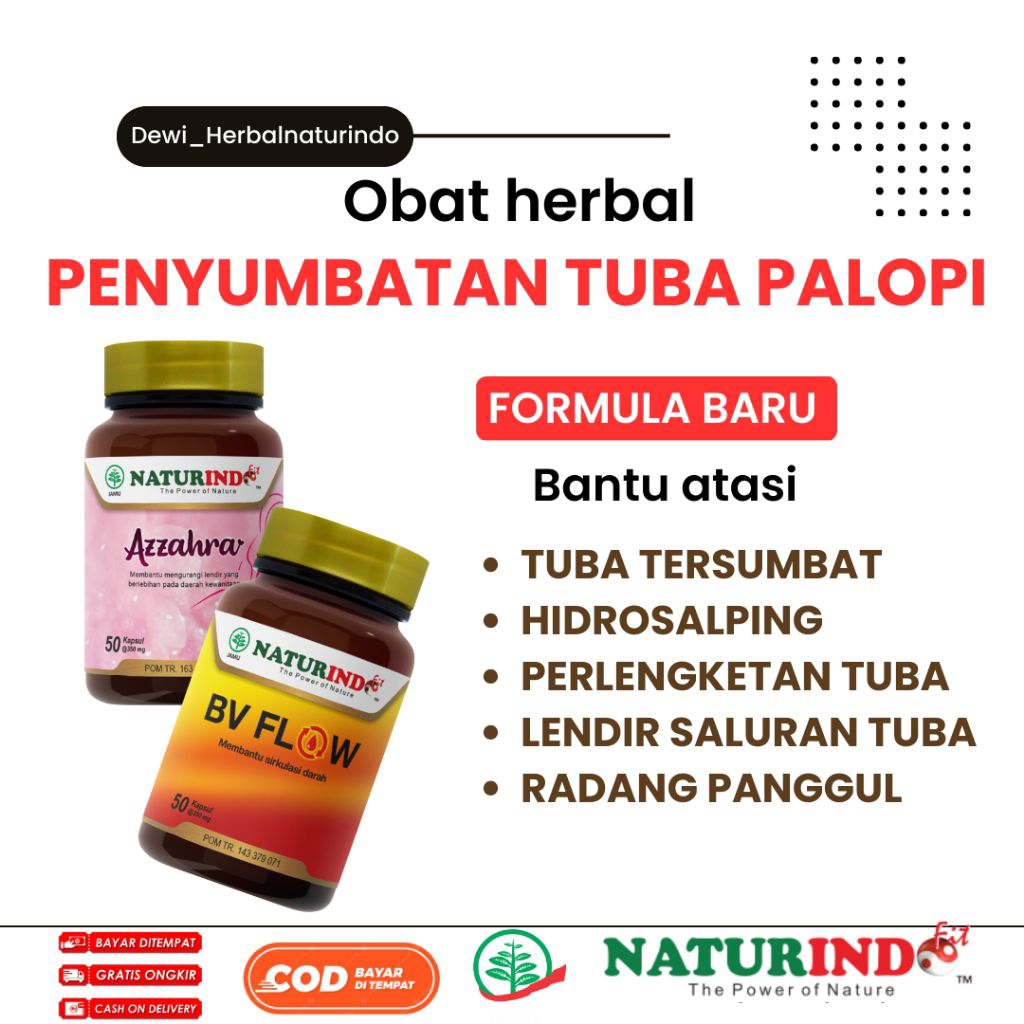 Obat Tuba Falopi Tersumbat Hidrosalping Penyumbatan Saluran Tuba Fallopi Non-Paten Herbal
