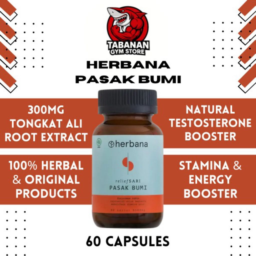 (PROMO) Herbana PASAK BUMI 60 Kapsul - Meningkatkan Testosteron Pria Secara Alami 100% Herbal BPOM H
