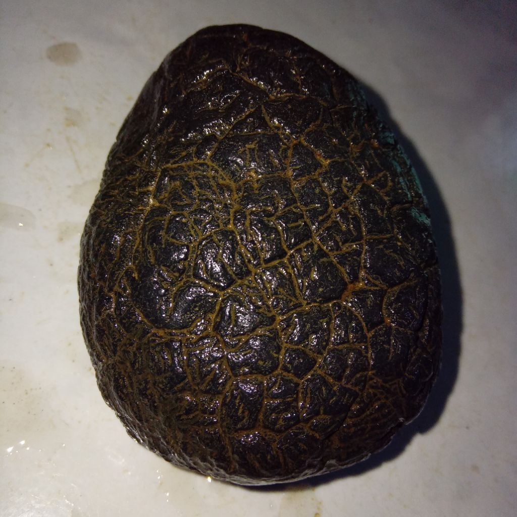 Original Batu Satam Meteorite Big Size / Ukuran Jumbo